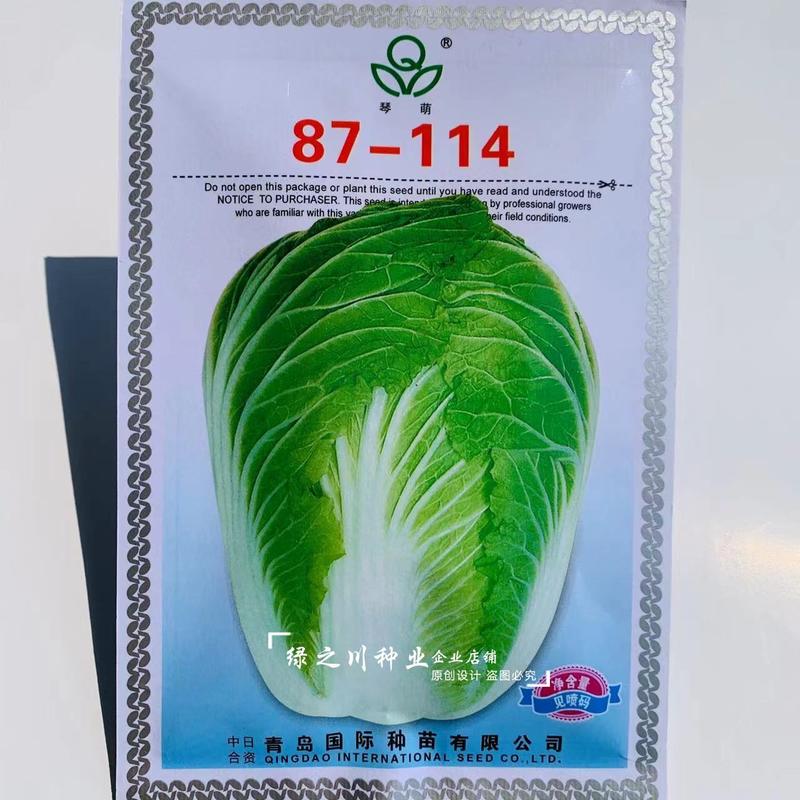 青岛国际种苗琴萌87114大白菜种子商品菜基地专用菜籽种