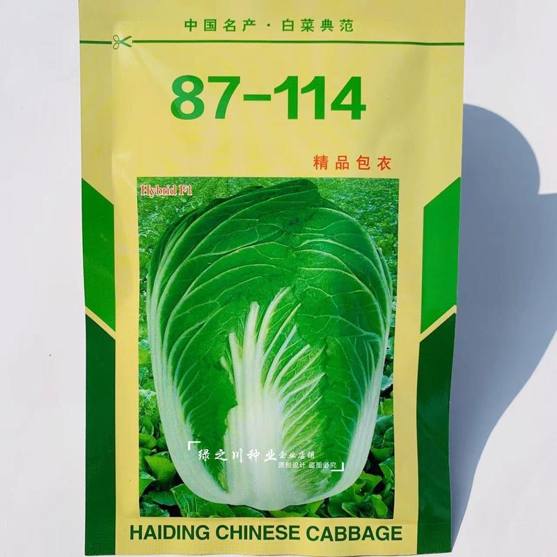 青岛国际种苗琴萌87114大白菜种子商品菜基地专用菜籽种