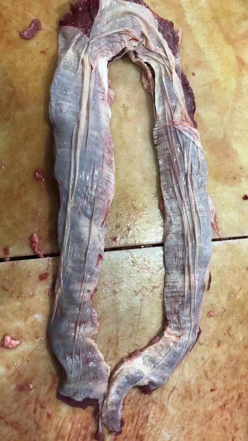 罗肌肉