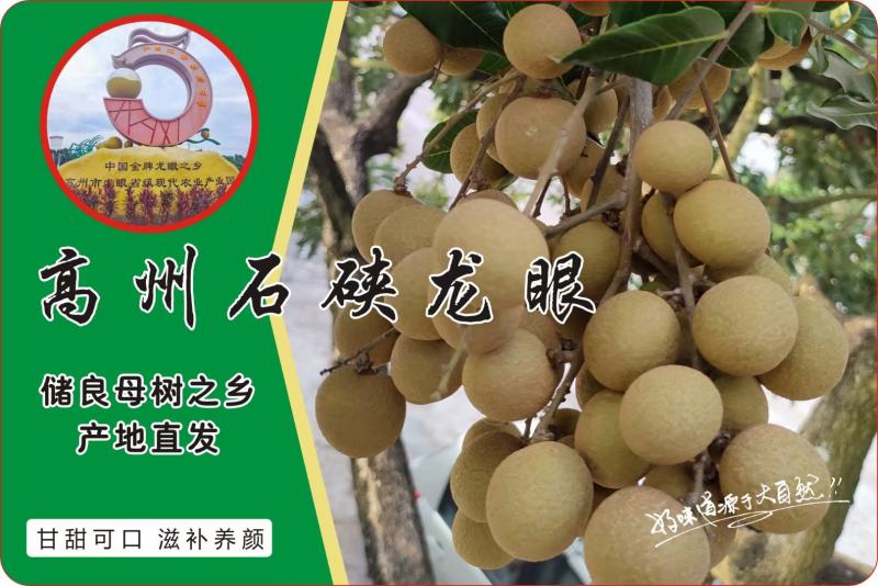 高州龙眼之乡，石硖统果，园子货，全部都能安排上，欢迎老板