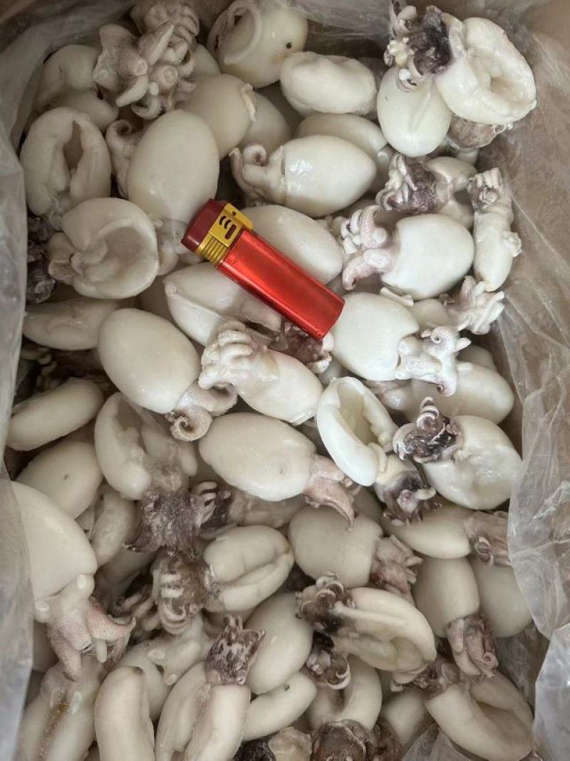 干冰墨鱼仔，纯干冰原料货