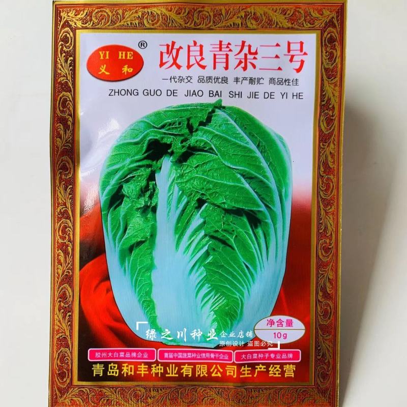 基地专用改良青杂三号大白菜种子中晚熟品种