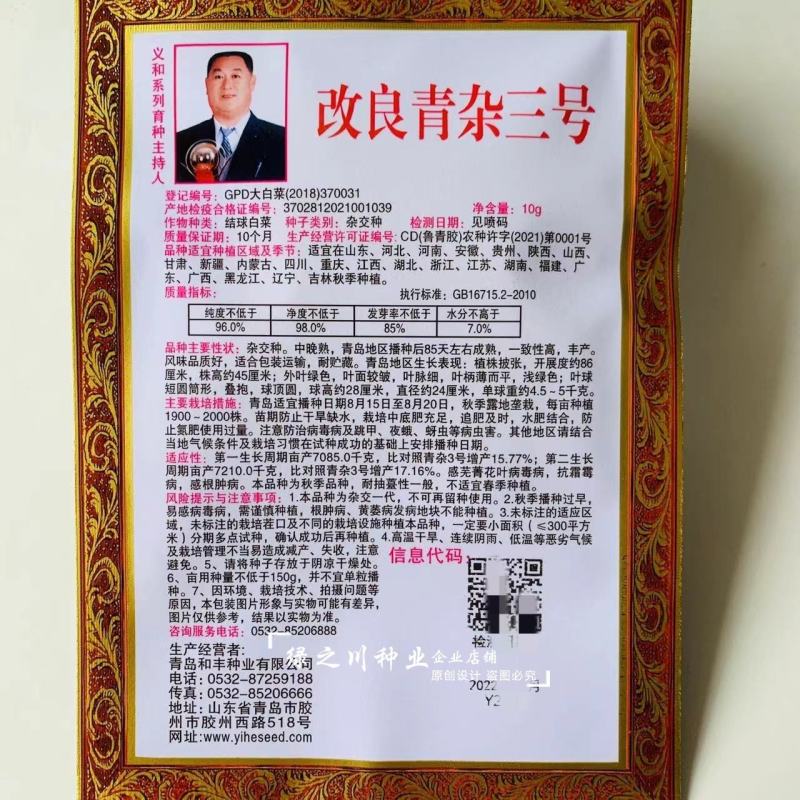 基地专用改良青杂三号大白菜种子中晚熟品种