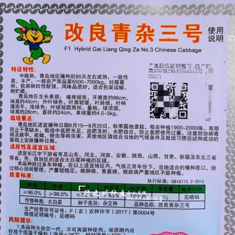 基地专用改良青杂三号大白菜种子中晚熟品种