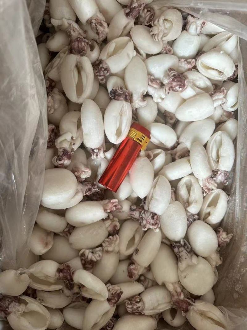 干冰墨鱼仔