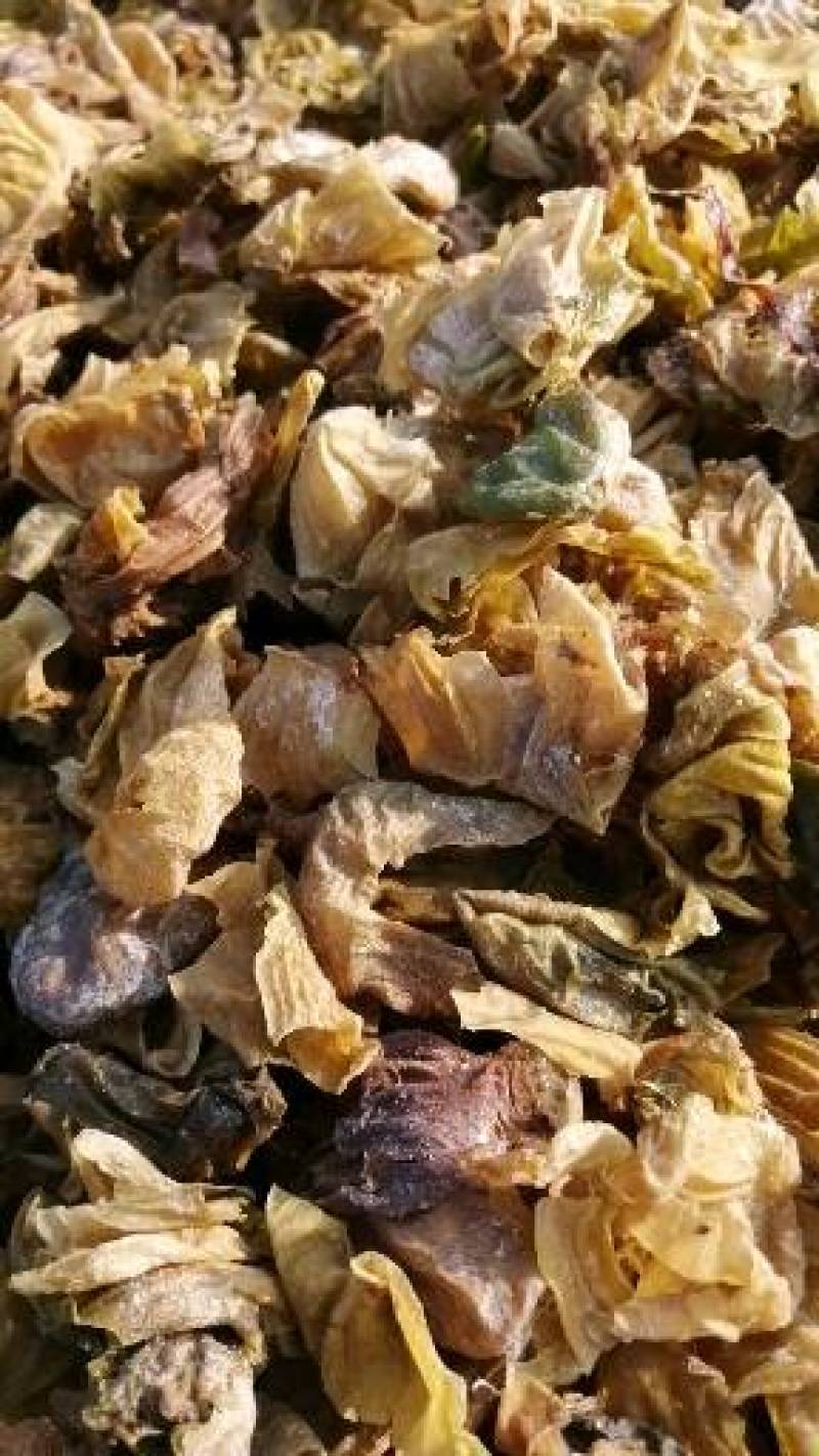中药材鸡内金