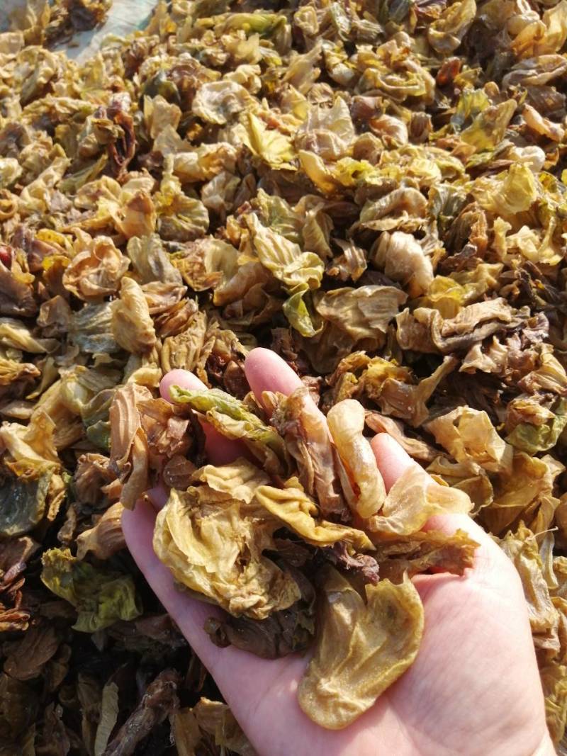 中药材鸡内金