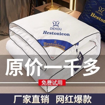 厂家批发桑蚕丝被空调被芯礼品夏凉被宿舍春秋被子冬季加厚冬
