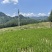 180天高山大米新有机大米