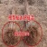 嫁接杏树苗新品种特大凯特杏巨蜜王杏果树苗当年结果南方北方