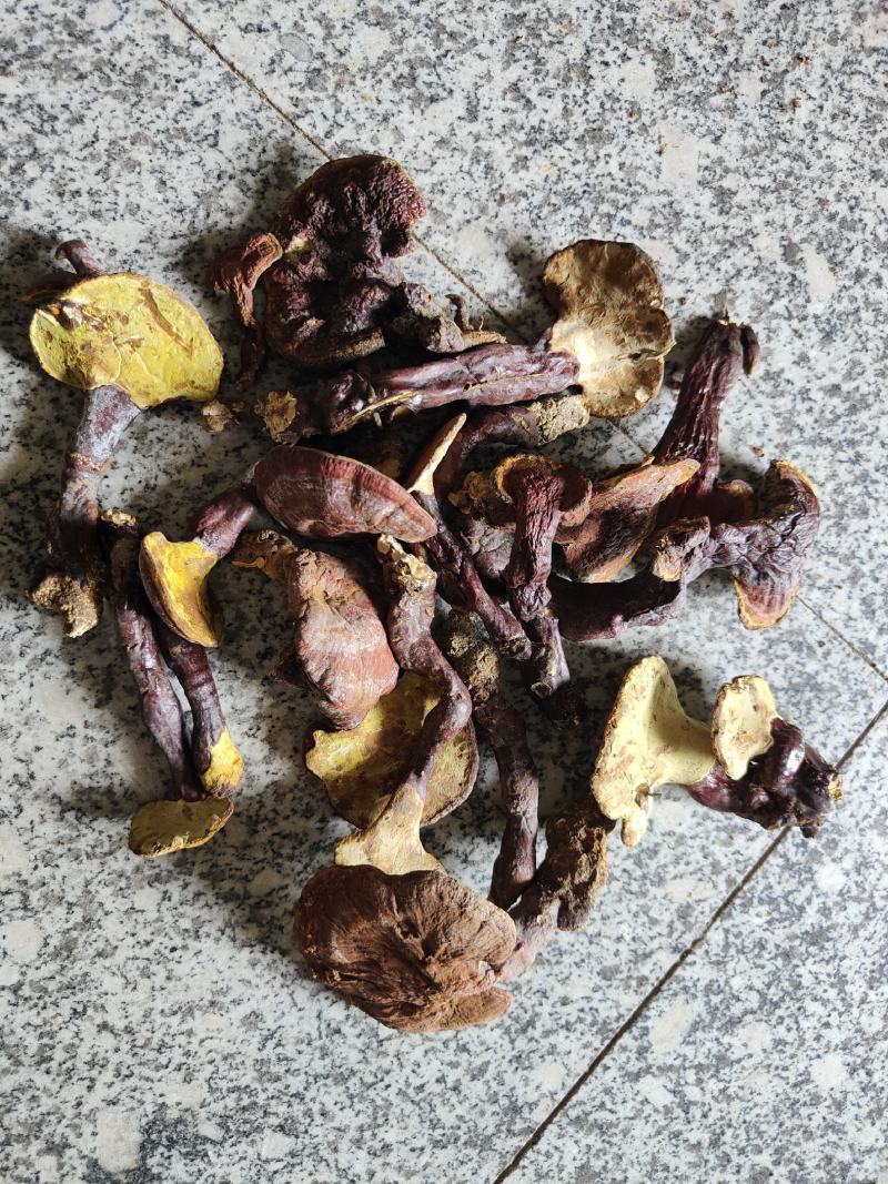 各种规格野生灵芝，赤灵芝，统货优选，欢迎下单