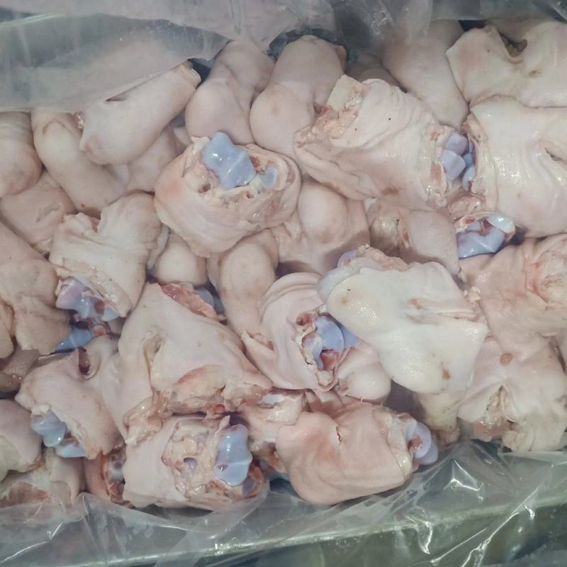 国产脚圈，拐骨，鲜品分割，天天生产，干净无毛，量大从优