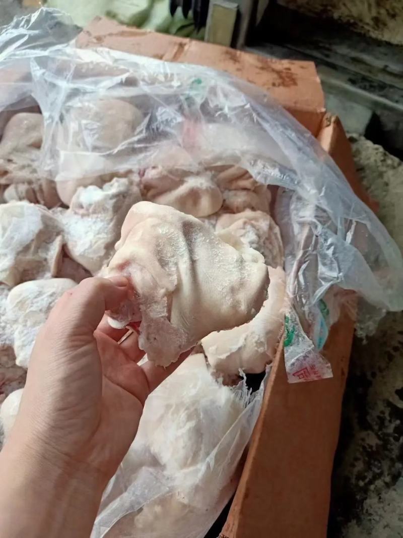 国产脚圈，拐骨，鲜品分割，天天生产，干净无毛，量大从优