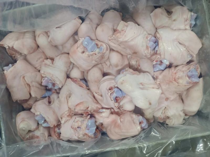 国产脚圈，拐骨，鲜品分割，天天生产，干净无毛，量大从优