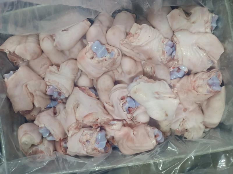 国产脚圈，拐骨，鲜品分割，天天生产，干净无毛，量大从优