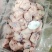国产脚圈，拐骨，鲜品分割，天天生产，干净无毛，量大从优