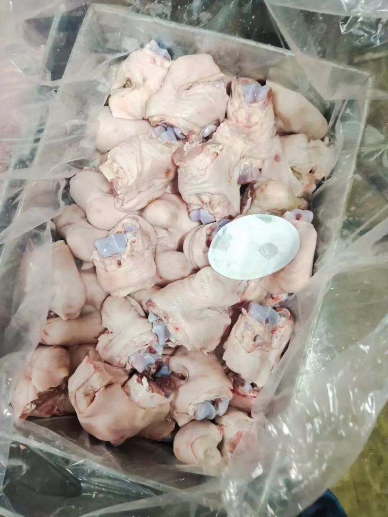 国产脚圈，拐骨，鲜品分割，天天生产，干净无毛，量大从优
