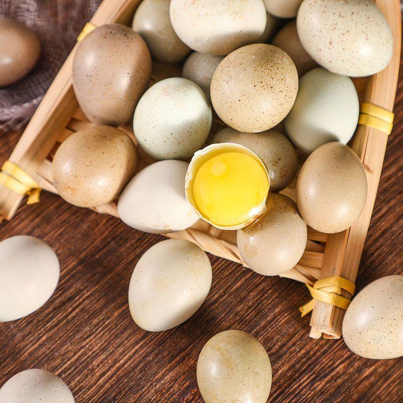芦丁鸡蛋可孵化蛋受精种蛋卢丁鸡蛋网红迷你鸡蛋受精蛋包邮