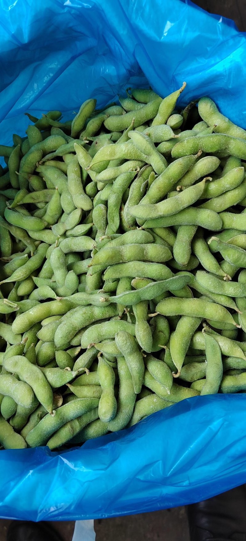 毛豆速冻毛豆源头实力厂家常年有货，价格稳定
