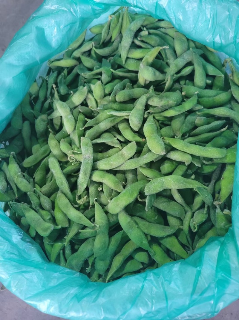毛豆速冻毛豆源头实力厂家常年有货，价格稳定