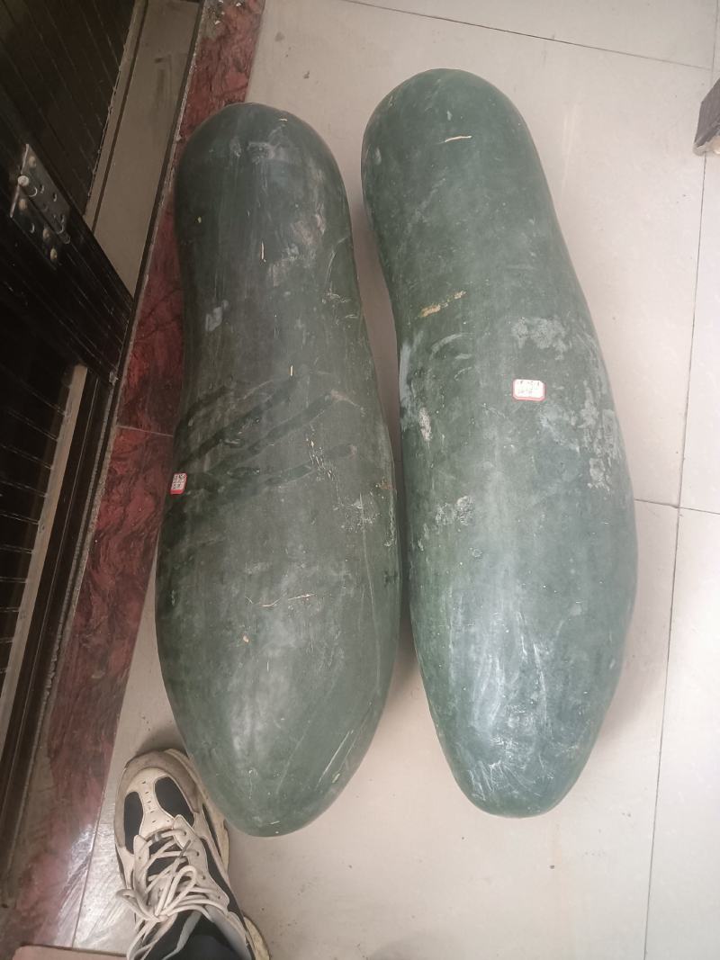 河北省，隆尧县，黑皮大冬瓜大量上市了，要的联系，全国发货