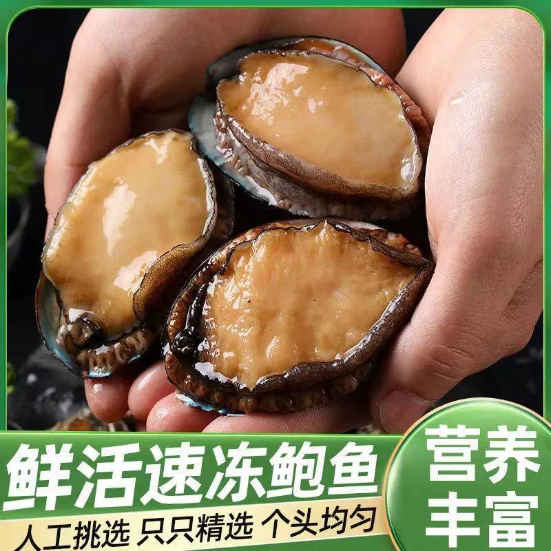 特大号鲍鱼新鲜冷冻鲍鱼鲜活深海大鲍鱼活体冷冻贝类海鲜水产
