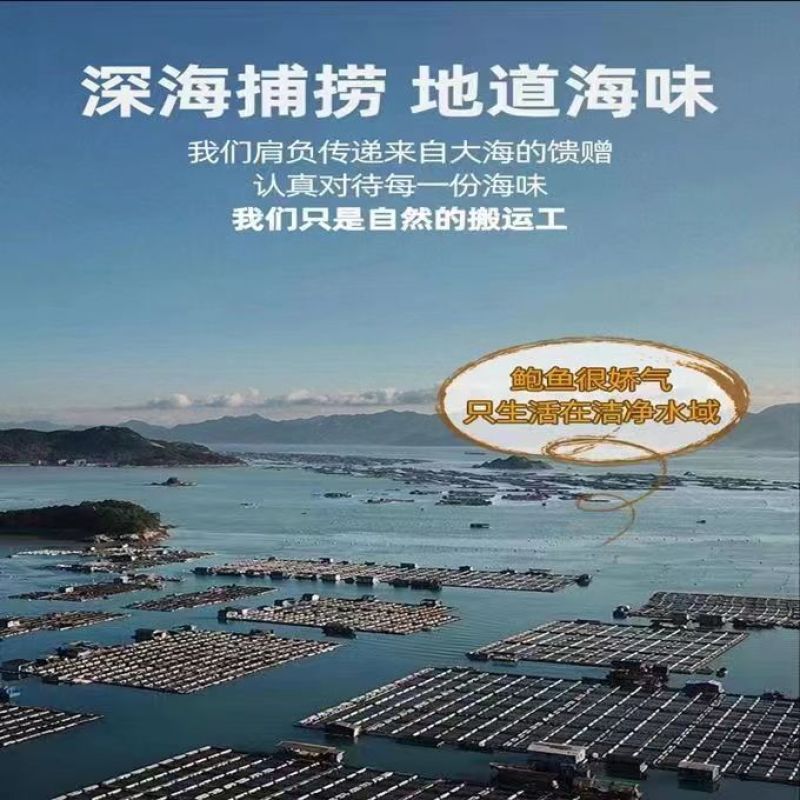 特大号鲍鱼新鲜冷冻鲍鱼鲜活深海大鲍鱼活体冷冻贝类海鲜水产