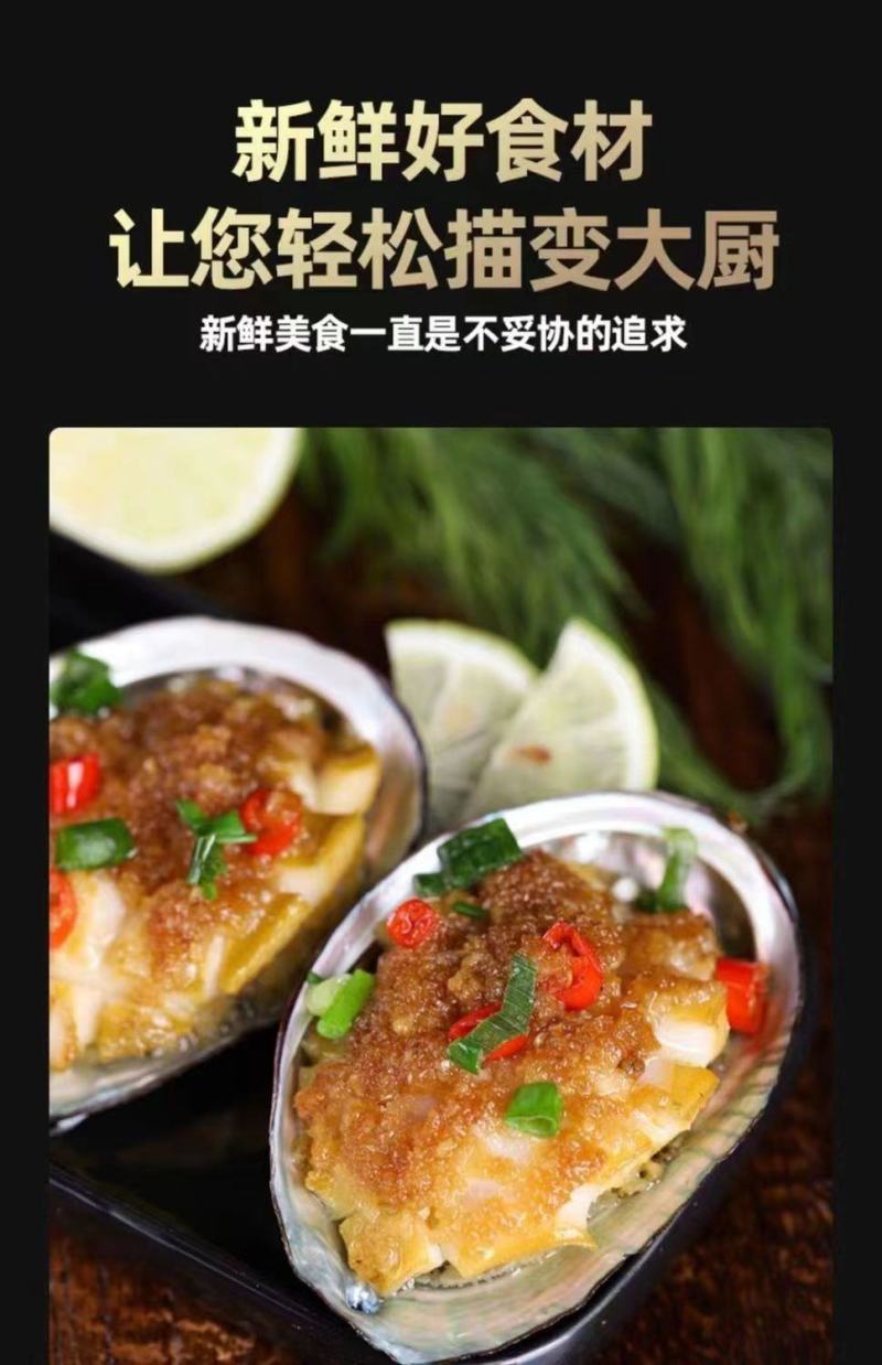 特大号鲍鱼新鲜冷冻鲍鱼鲜活深海大鲍鱼活体冷冻贝类海鲜水产