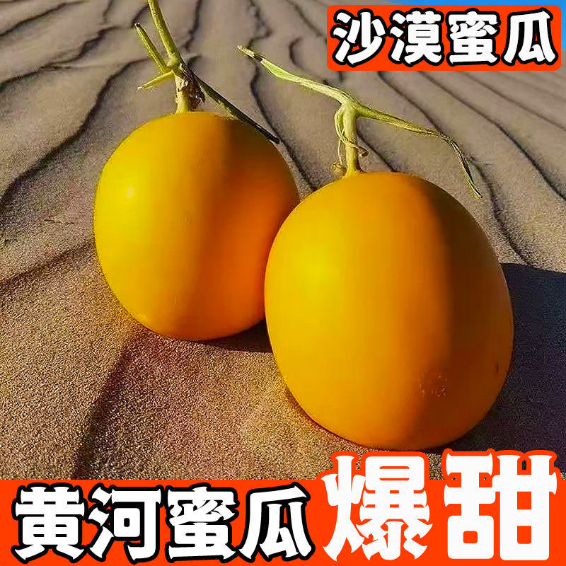 甘肃民勤蜜瓜金红宝电商一件代发抖音快手社区团购