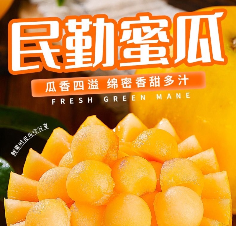 甘肃民勤蜜瓜金红宝电商一件代发抖音快手社区团购
