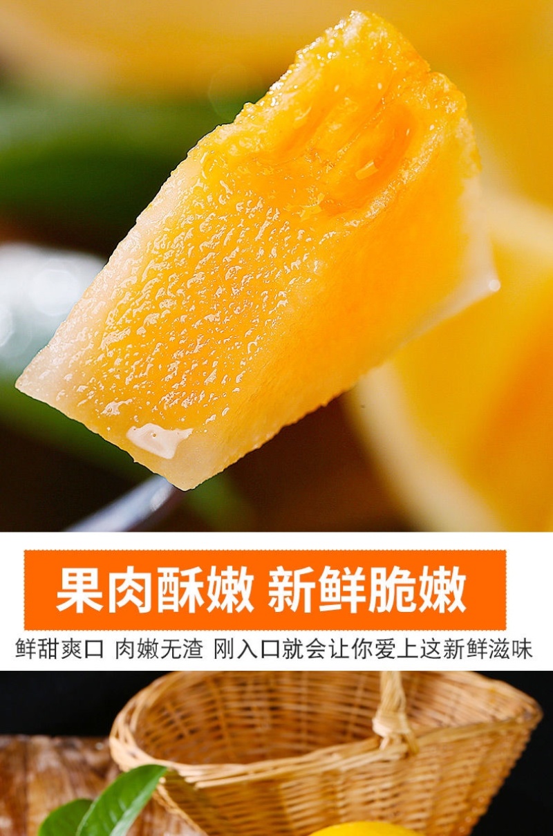 甘肃民勤蜜瓜金红宝电商一件代发抖音快手社区团购