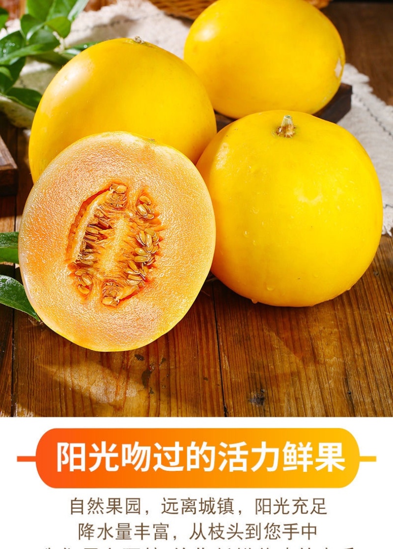甘肃民勤蜜瓜金红宝电商一件代发抖音快手社区团购