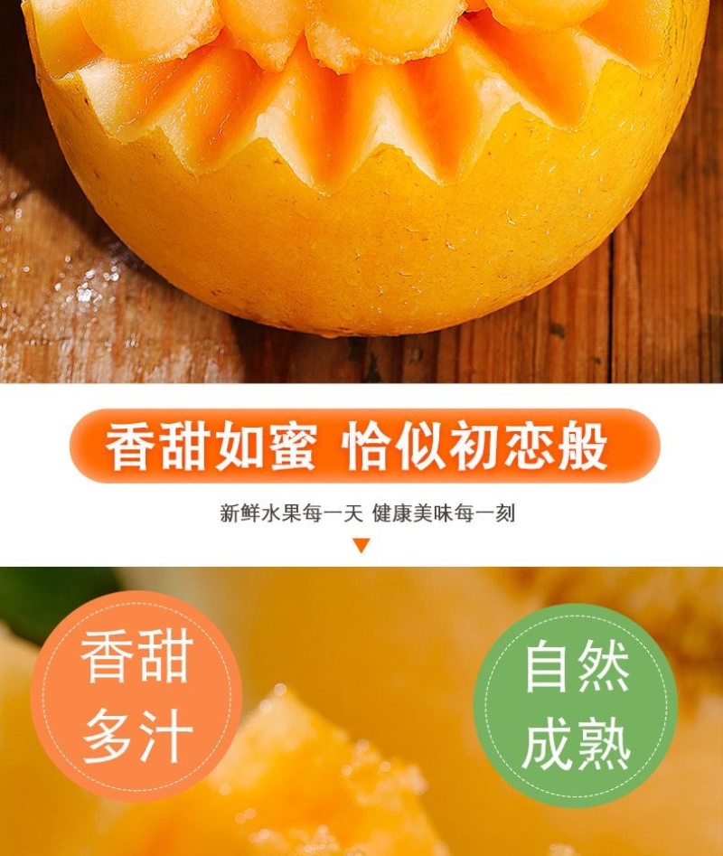 甘肃民勤蜜瓜金红宝电商一件代发抖音快手社区团购