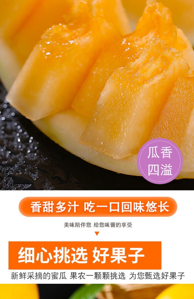 甘肃民勤蜜瓜金红宝电商一件代发抖音快手社区团购