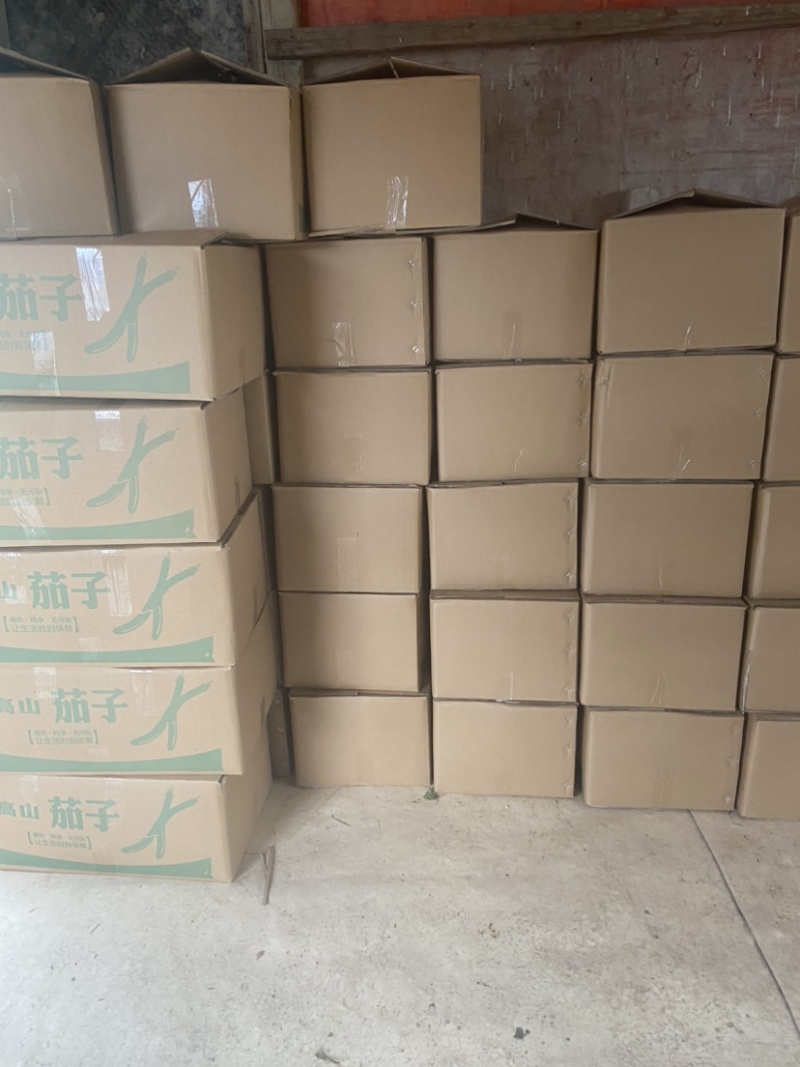 高山山沟沟茄子质量好量大油光发亮