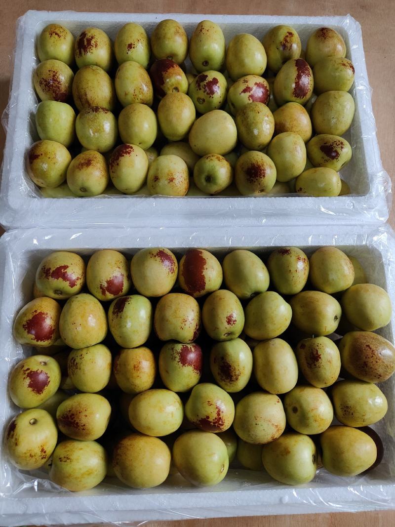 大荔冬枣