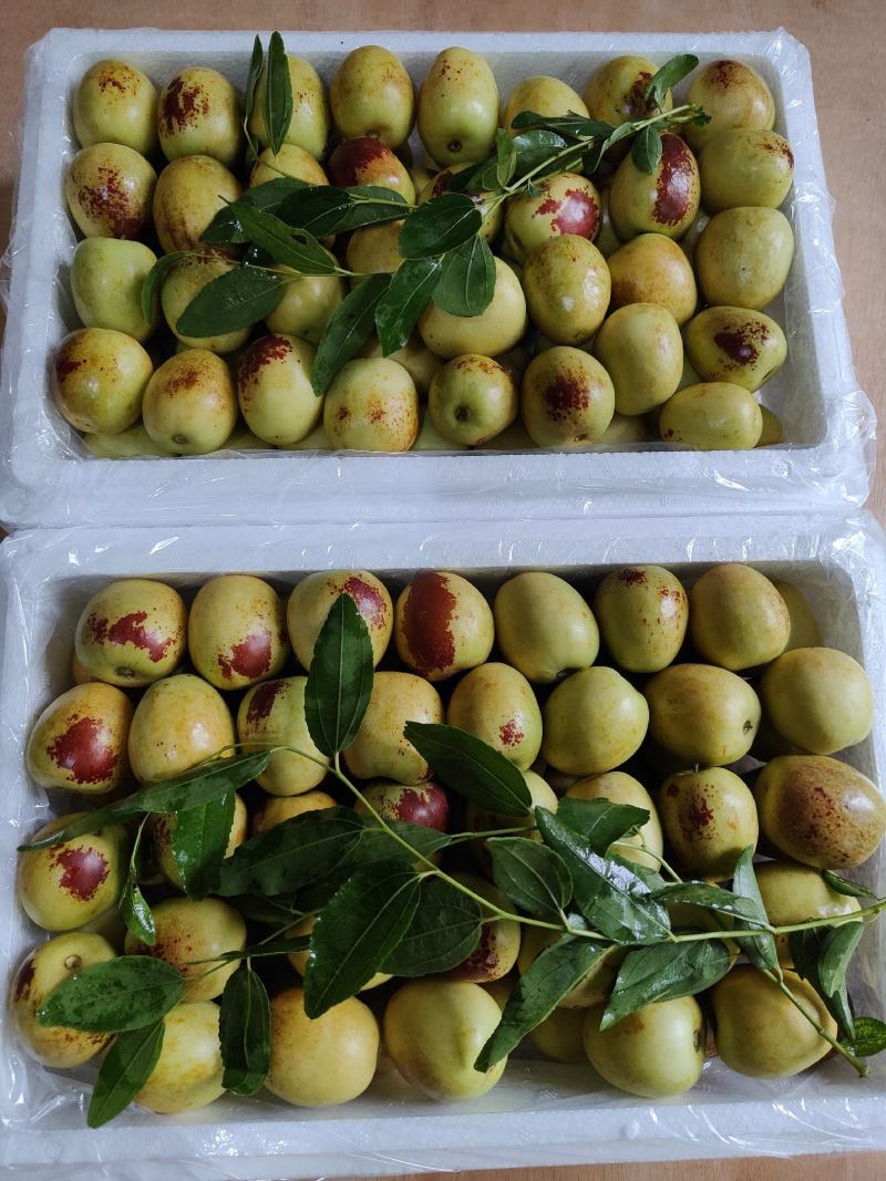 大荔冬枣