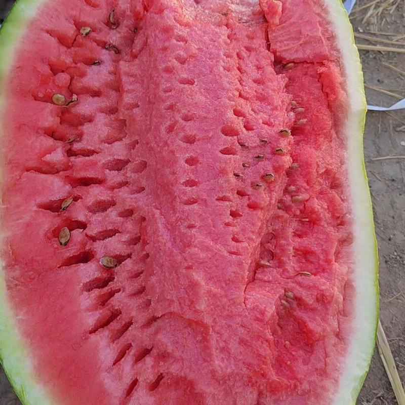 硒砂瓜