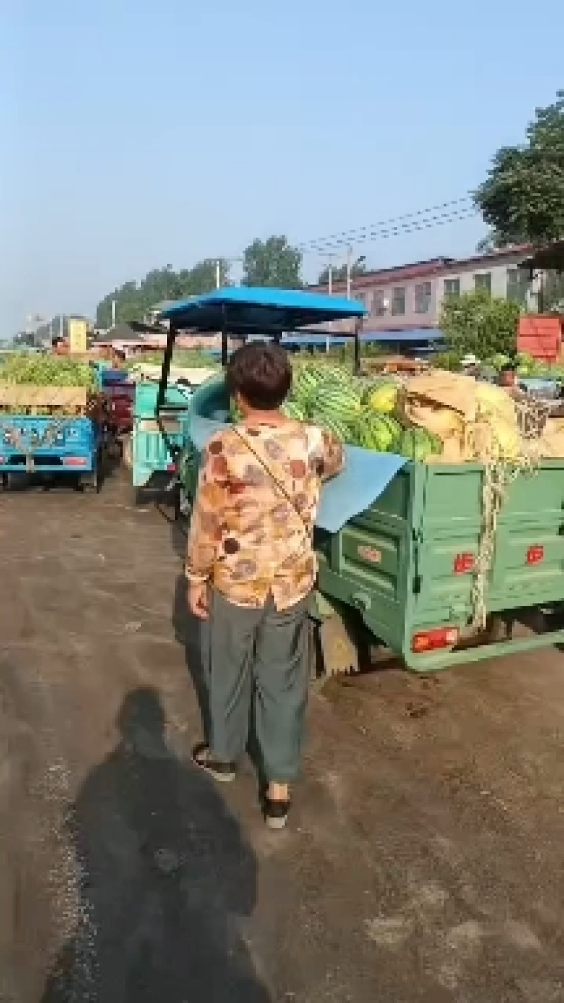 河南开封美都西瓜产地直销质量保障欢迎订购