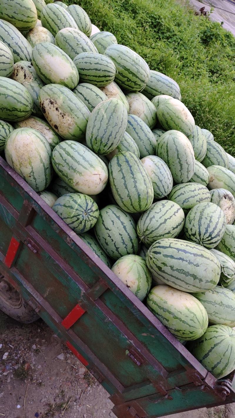 西瓜，产地直销，西沙六号保证质量，保质保量