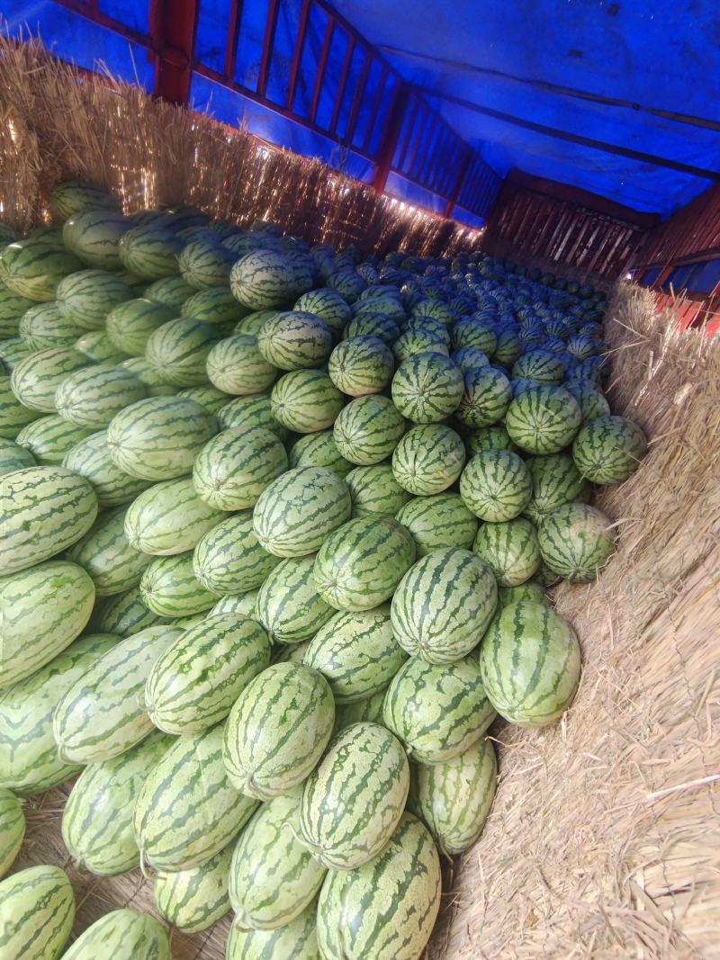 西瓜，产地直销，西沙六号保证质量，保质保量