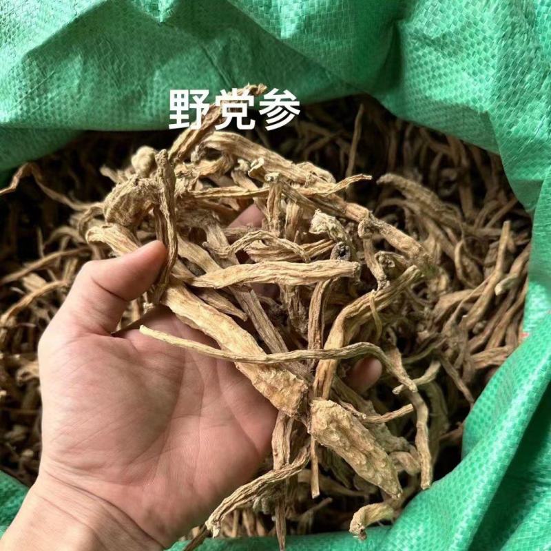 大量供应土党参