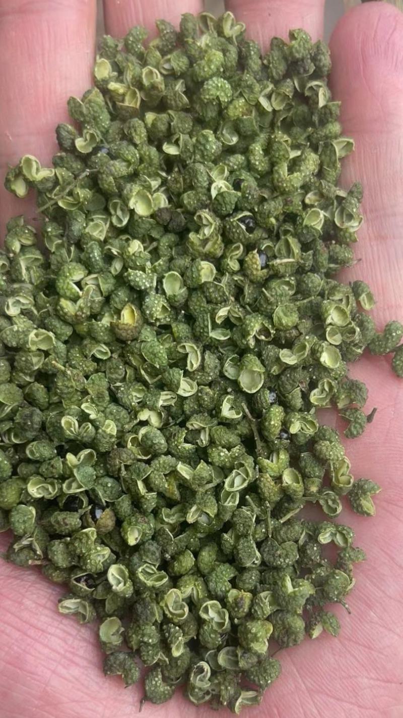 2025年新货青花椒青麻椒昭通花椒云南花椒