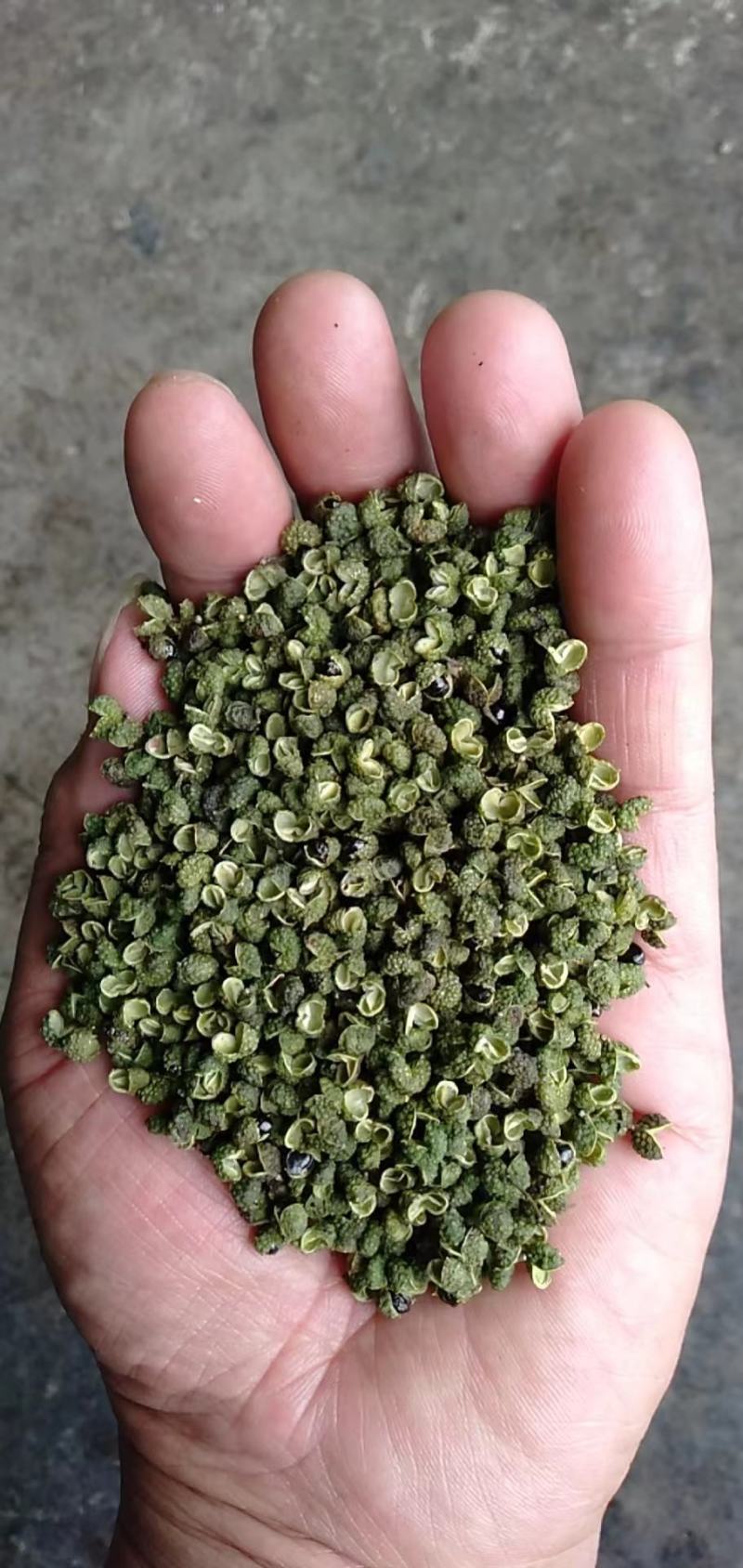 2025年新货青花椒青麻椒昭通花椒云南花椒
