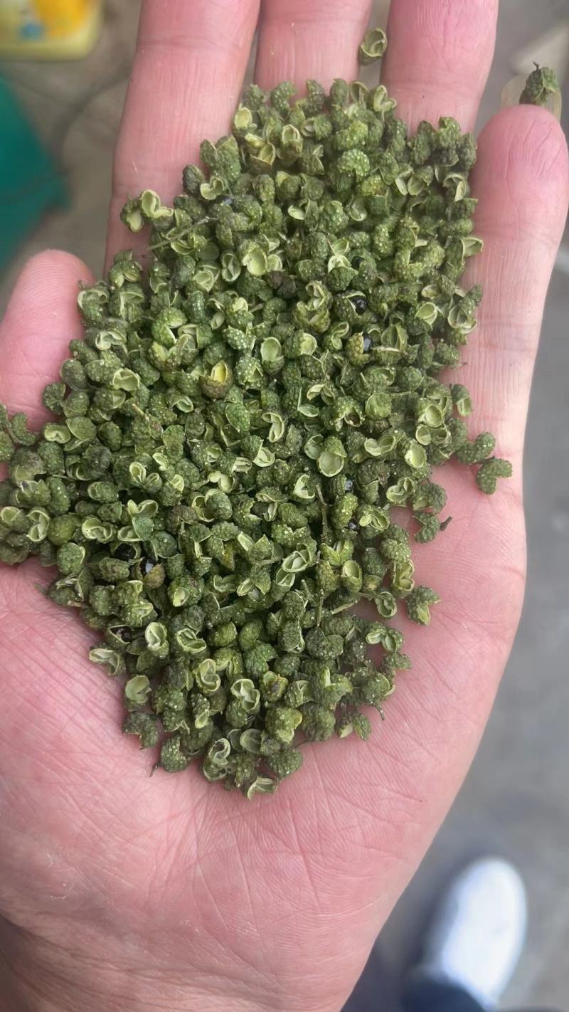 2025年新货青花椒青麻椒昭通花椒云南花椒