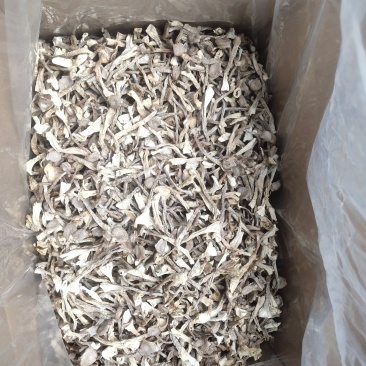 贵州鹿茸菇大量批发