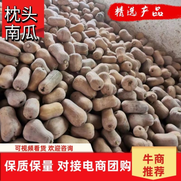 枕头南瓜陕西南瓜板栗南瓜日供50吨香甜面糯市场商超电商