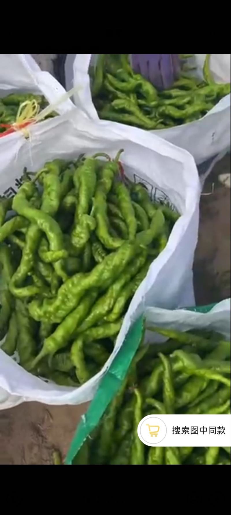 刚上市的精品陇椒