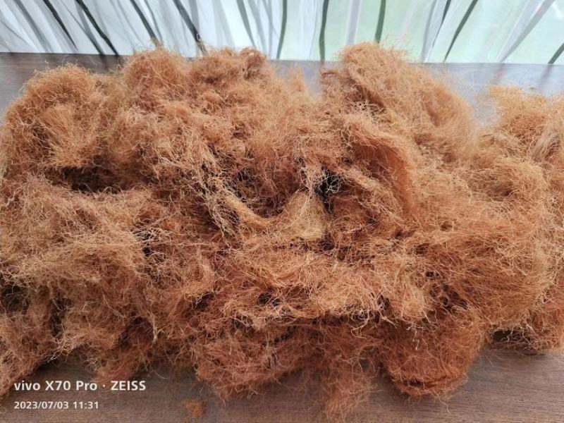 玉米须干货手选泡水级别无黑头欢迎选购！
