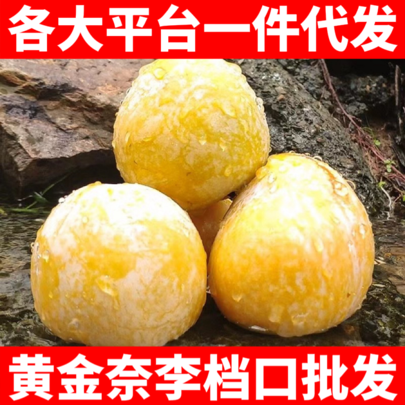 湖南汝城文明黄金奈李支持微商电商团购一件代发，档口批发